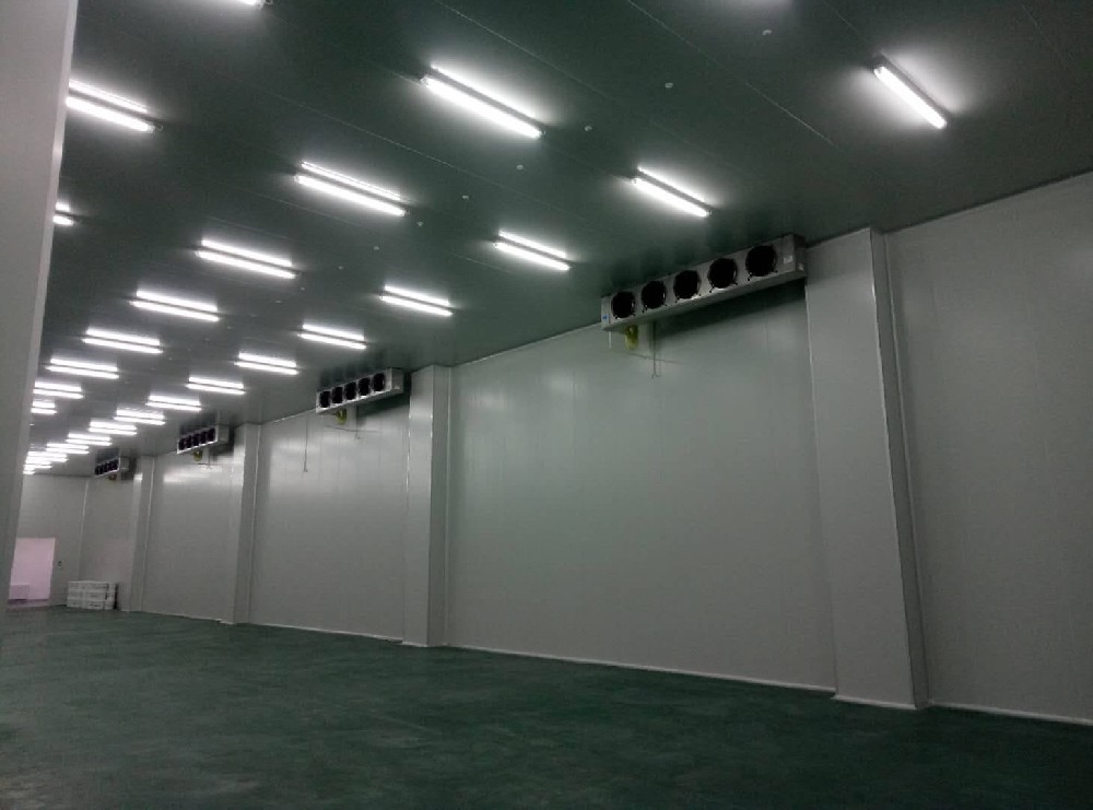三甲醫(yī)院建造600m3藥品冷藏庫需要多少費用？