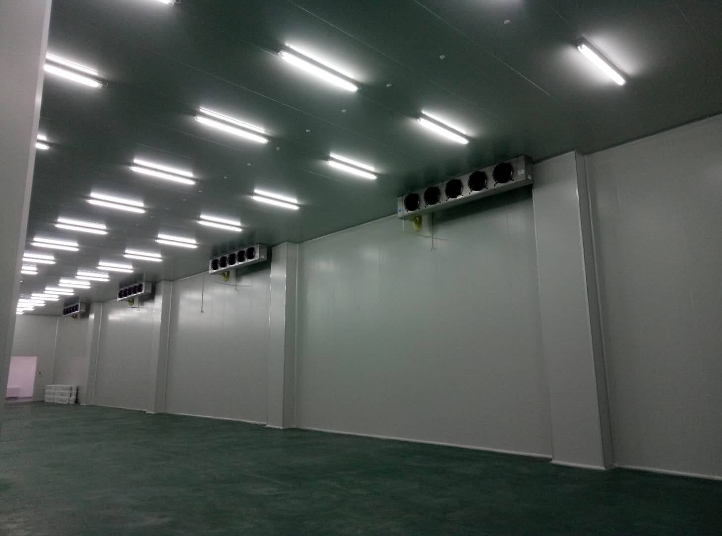 建造-35℃～-40℃急凍庫設計費用價格多少錢？