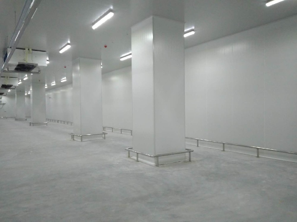 建造200噸的肉類冷鏈冷凍庫如何做好規(guī)劃設計？