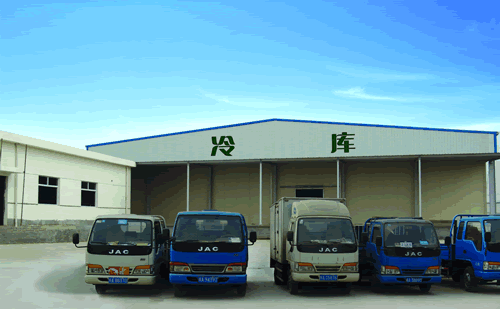 大型冷鏈物流冷藏車，果蔬冷庫安裝設(shè)計(jì)·