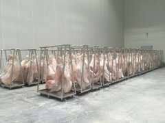 做一個牛肉冷庫造價表，生鮮冷藏庫價格