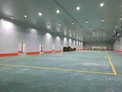 500噸山藥恒溫冷藏庫造價多少錢一平米，一天耗電量多少錢