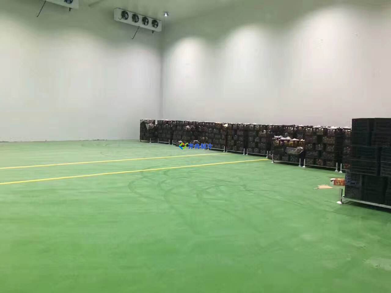 1000平蒜薹冷庫價(jià)格，蒜薹保鮮庫耗電量計(jì)算