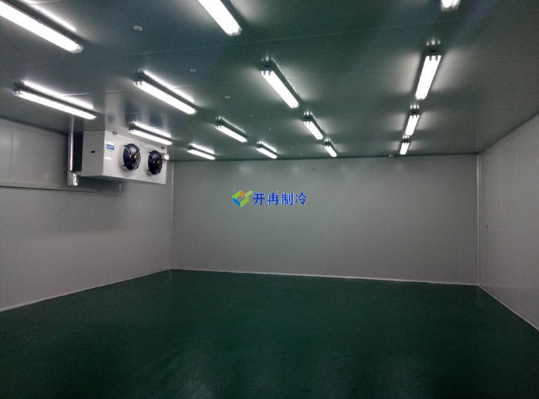 100m3血液冷庫溫度一般多少度，醫(yī)療冷庫報(bào)價  冷庫內(nèi)景圖片 